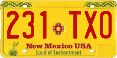 NM license plate 231TXO