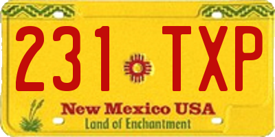NM license plate 231TXP
