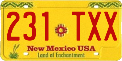 NM license plate 231TXX