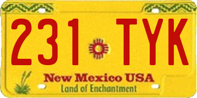NM license plate 231TYK