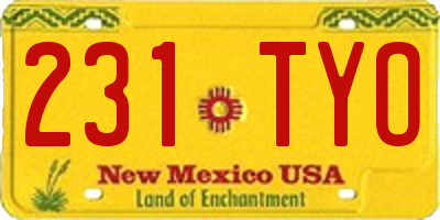 NM license plate 231TYO