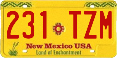 NM license plate 231TZM