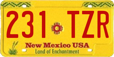 NM license plate 231TZR