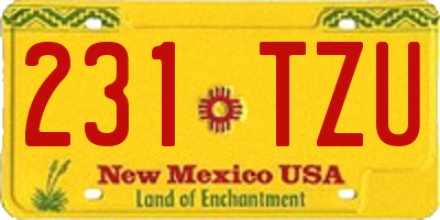 NM license plate 231TZU