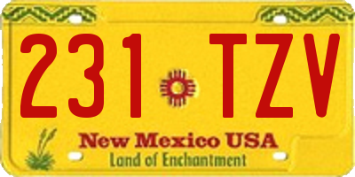 NM license plate 231TZV