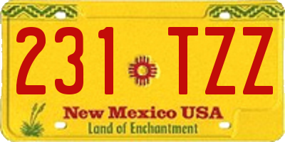 NM license plate 231TZZ