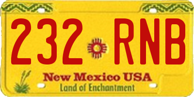 NM license plate 232RNB