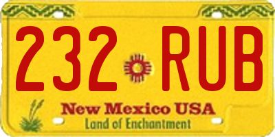NM license plate 232RUB