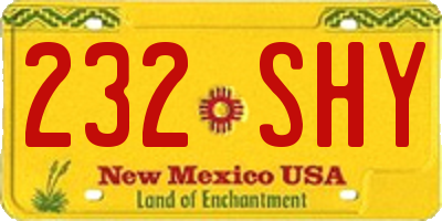 NM license plate 232SHY