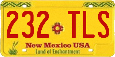 NM license plate 232TLS
