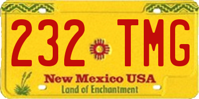NM license plate 232TMG