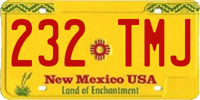 NM license plate 232TMJ