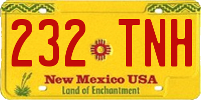 NM license plate 232TNH