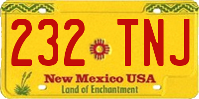NM license plate 232TNJ