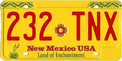 NM license plate 232TNX