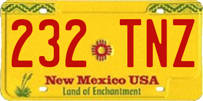 NM license plate 232TNZ