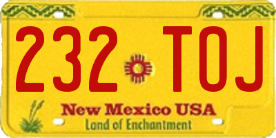 NM license plate 232TOJ