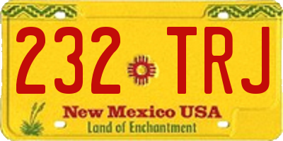 NM license plate 232TRJ