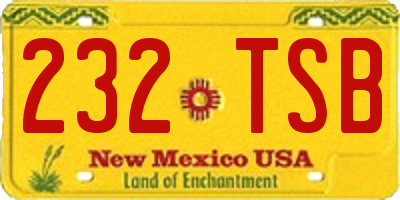 NM license plate 232TSB