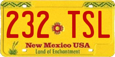 NM license plate 232TSL