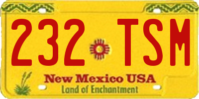 NM license plate 232TSM