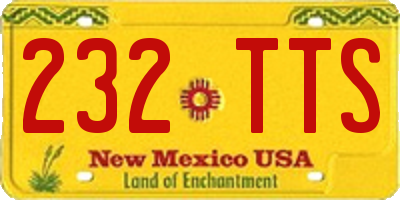 NM license plate 232TTS