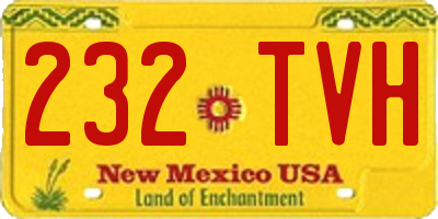 NM license plate 232TVH