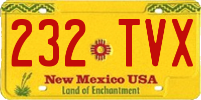 NM license plate 232TVX