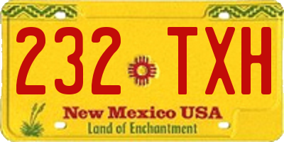 NM license plate 232TXH