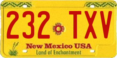 NM license plate 232TXV