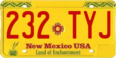 NM license plate 232TYJ