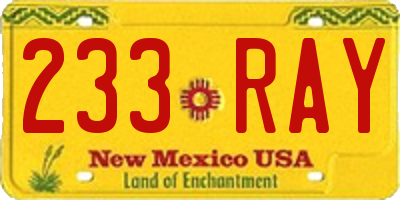 NM license plate 233RAY