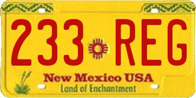 NM license plate 233REG