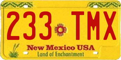 NM license plate 233TMX