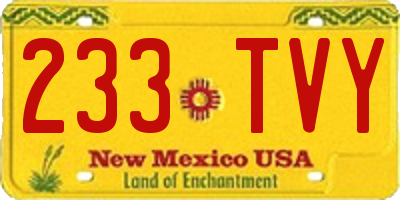 NM license plate 233TVY