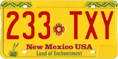 NM license plate 233TXY