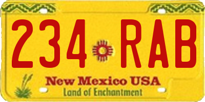 NM license plate 234RAB