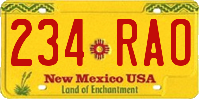 NM license plate 234RAO