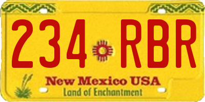 NM license plate 234RBR