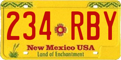 NM license plate 234RBY