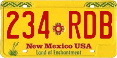 NM license plate 234RDB