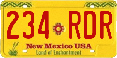 NM license plate 234RDR