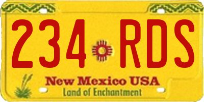 NM license plate 234RDS