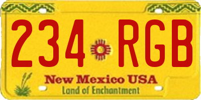 NM license plate 234RGB