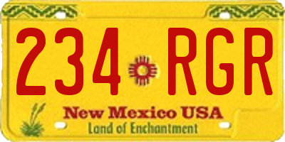 NM license plate 234RGR