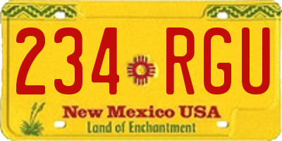 NM license plate 234RGU