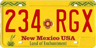NM license plate 234RGX