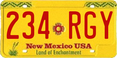 NM license plate 234RGY
