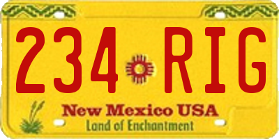NM license plate 234RIG