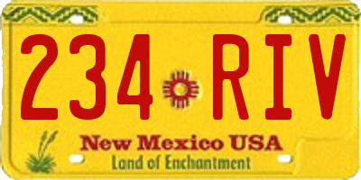 NM license plate 234RIV